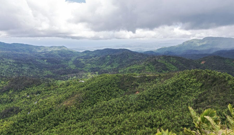 El Yunque National Forest