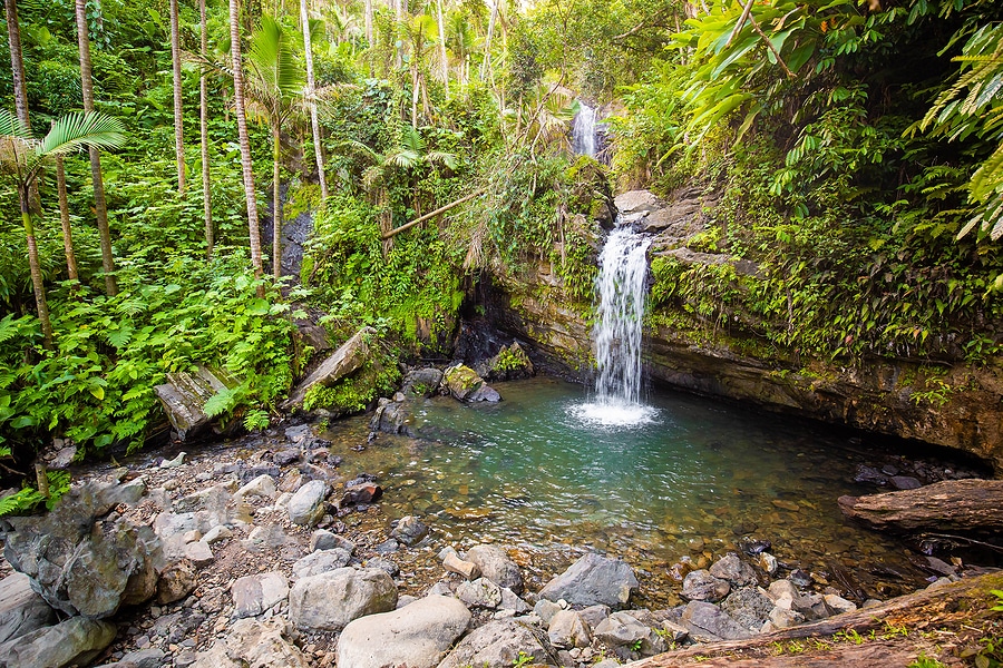 Book Your Fall Break Trip to Puerto Rico