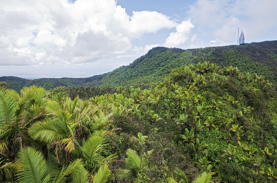 Visiting El Yunque National Forest